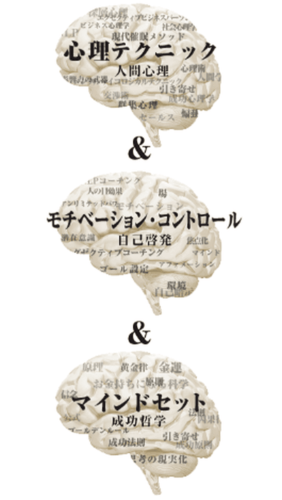 BMTSプログラムのメインコンテンツ要素図