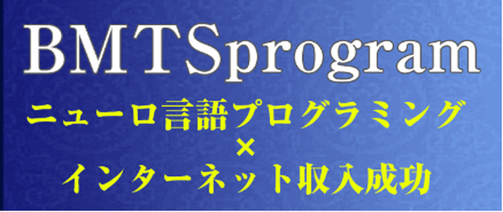 BMTSプログラム販売ページのスクリーンショット