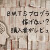 ＢＭＴＳプログラムって稼げない？購入者がレビュー！のアイキャッチ、大量の本と脳のイメージ
